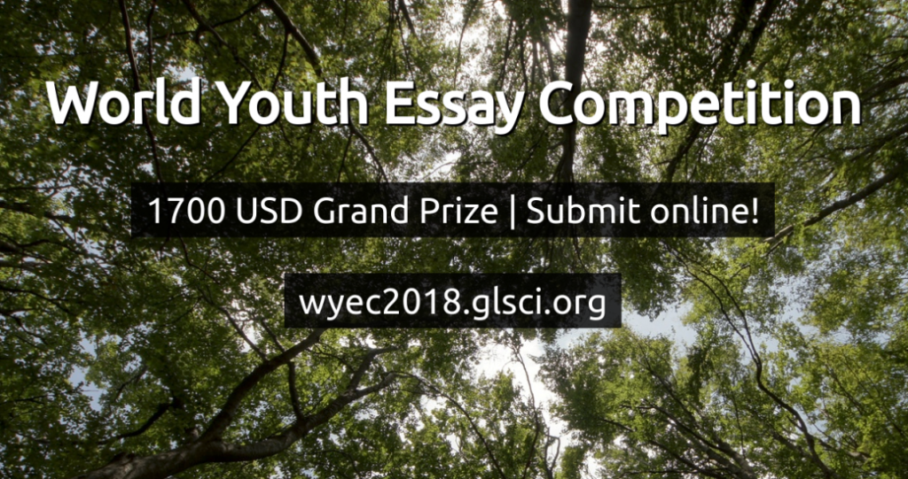 World Youth Essay Competition