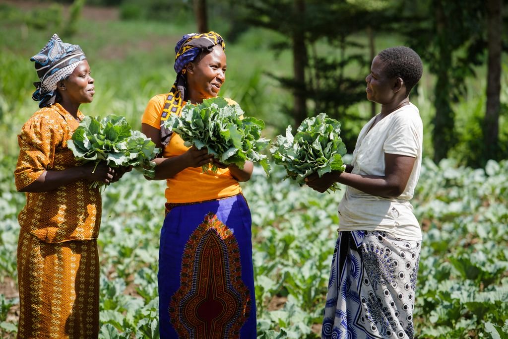 USAID Accelerating Women Entrepreneurs Prize 