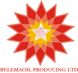 Belemaoil Post-Primary Scholarship