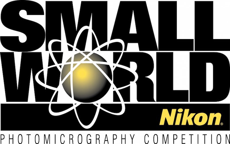 Nikon International Small World Contest