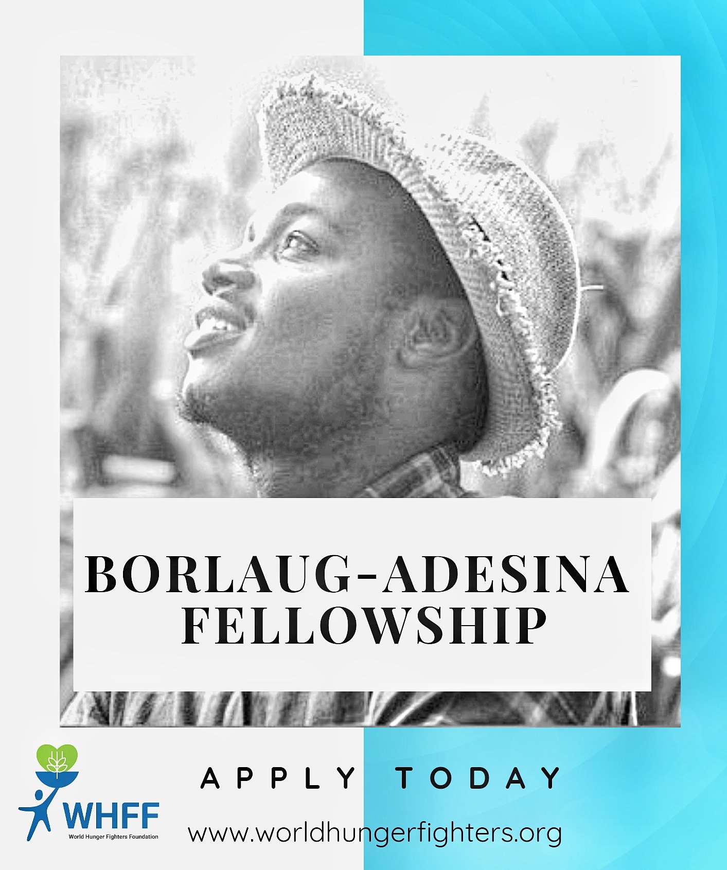Borlaug-Adesina Fellowship Program
