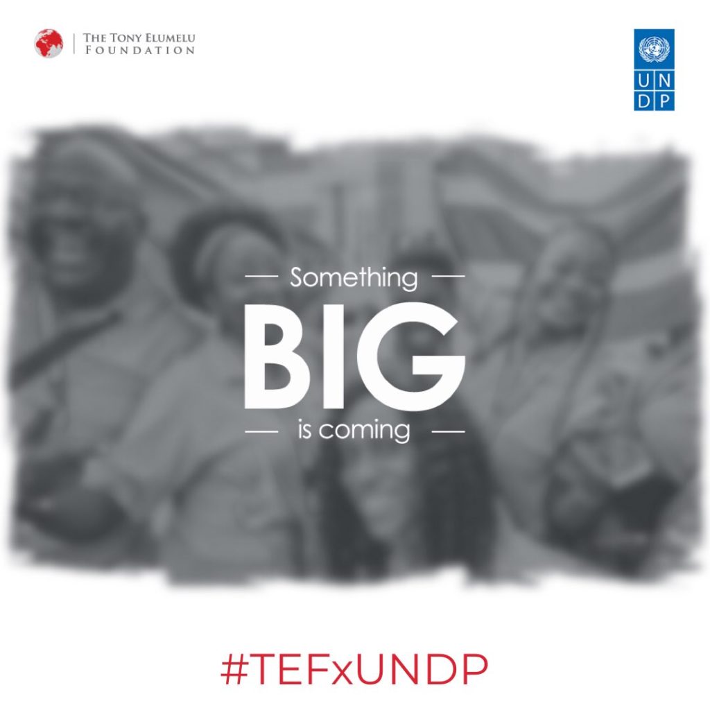 TEF-UNDP Sahel Youth Entrepreneurship Programme