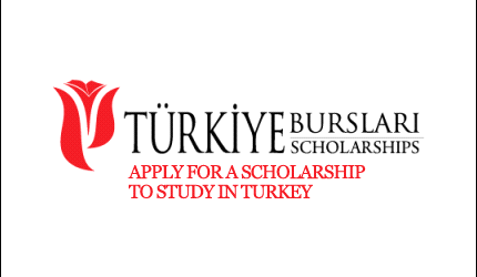 Government of Turkey Success Scholarships