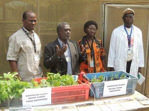 IITA-Seed-Yam-In-The-Air