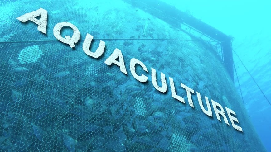 JAMB Subject Combination for Aquaculture and Fisheries Management