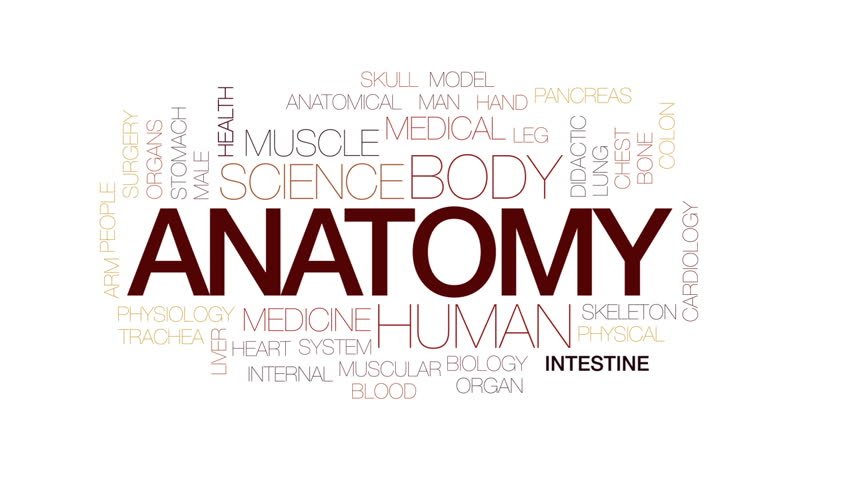 JAMB Subject Combination for Anatomy