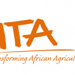 IITA Latest Recruitment in Nigeria - 3 Positions Available