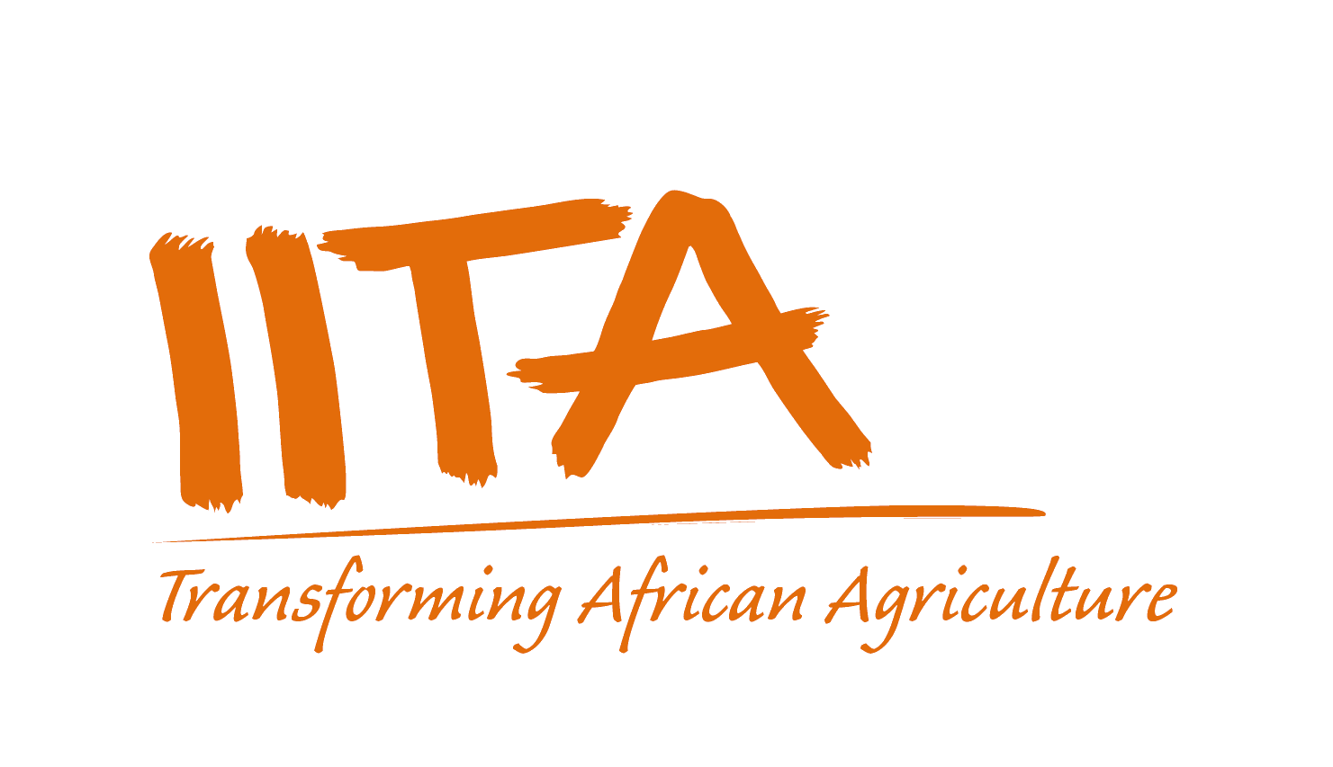 International Institute of Tropical Agriculture (IITA) Jobs