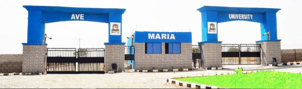 Ave Maria University School Fees