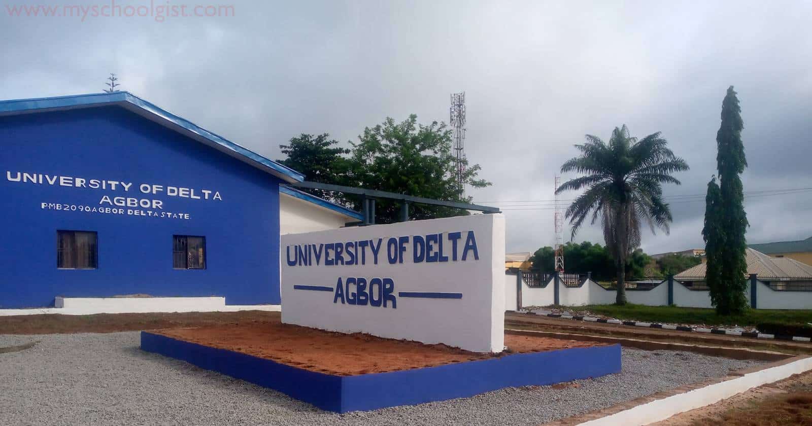 University of Delta IJMB Admission Form