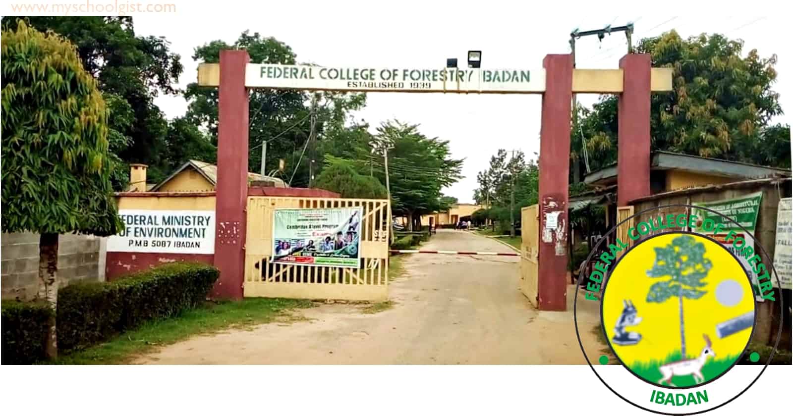 Federal College Of Forestry Ibadan Admission List