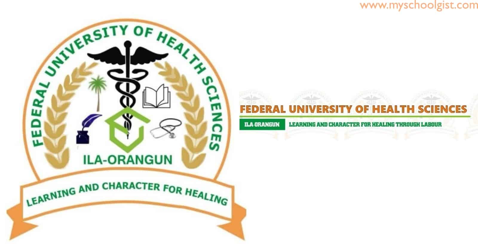 Federal University of Health Sciences Ila Orangun (FUHSI) Post UTME Form