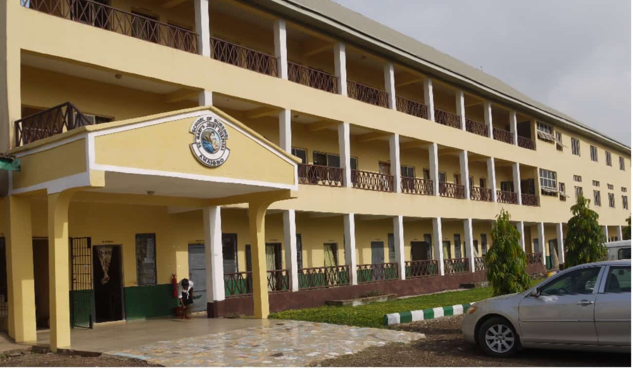 College of Nursing Sciences Amaigbo Admission Form