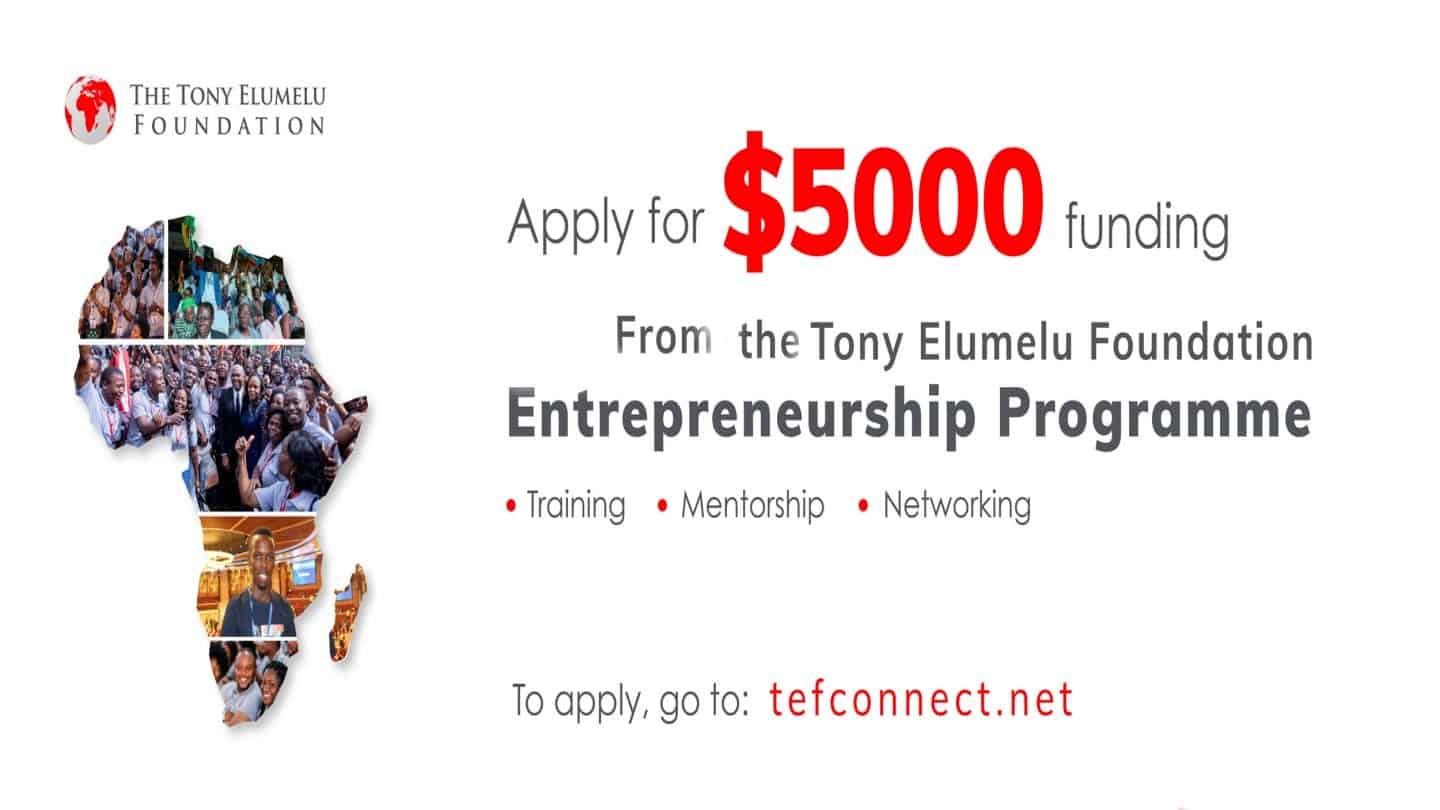Tony Elumelu Foundation (TEF) Entrepreneurship Programme