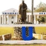 Igbinedion University Post UTME/DE Screening Form 2023/2024