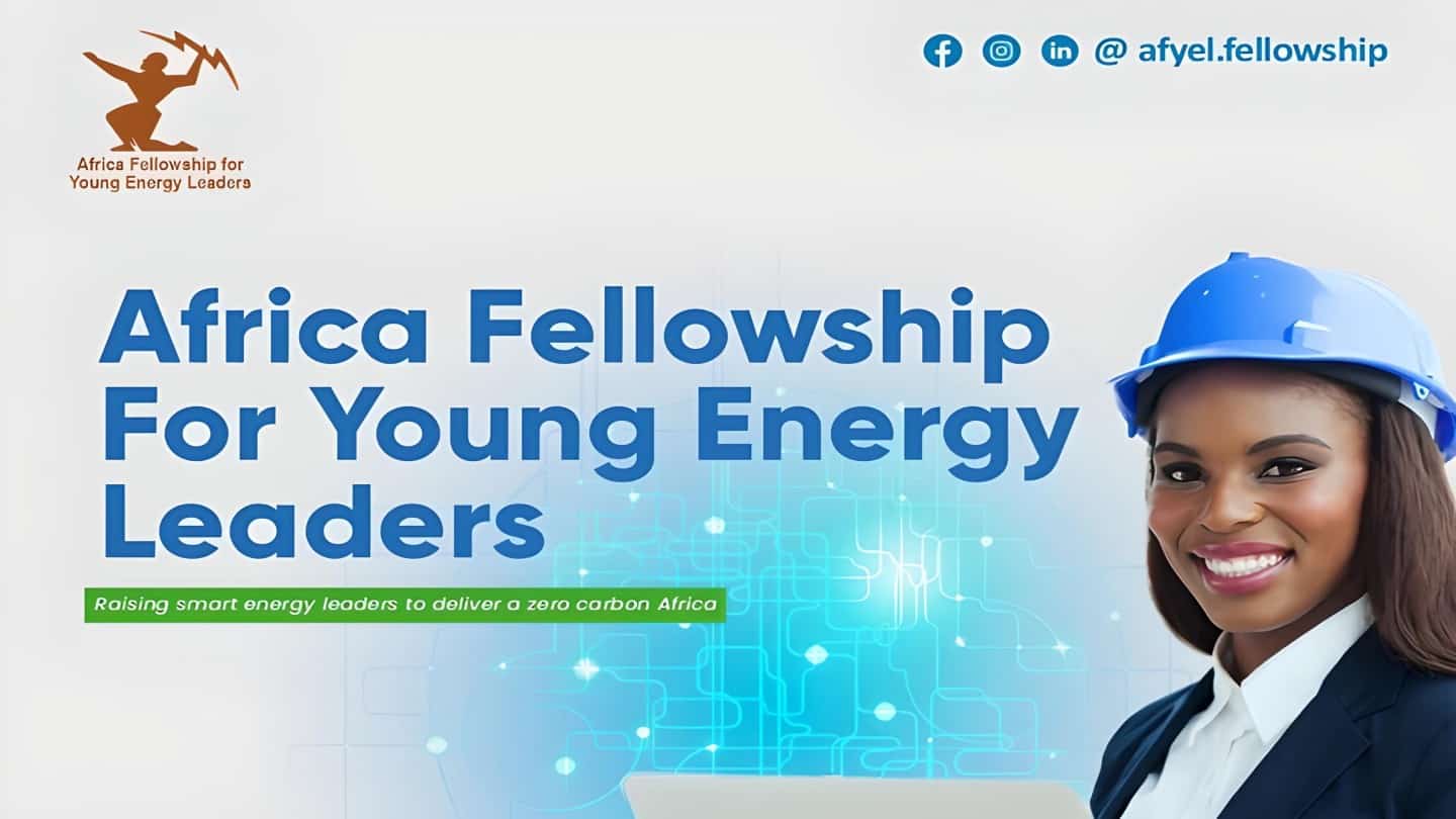Africa Fellowship for Young Energy Leaders
