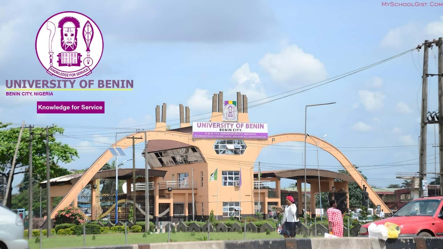 NILDS/UNIBEN Postgraduate Admission Form