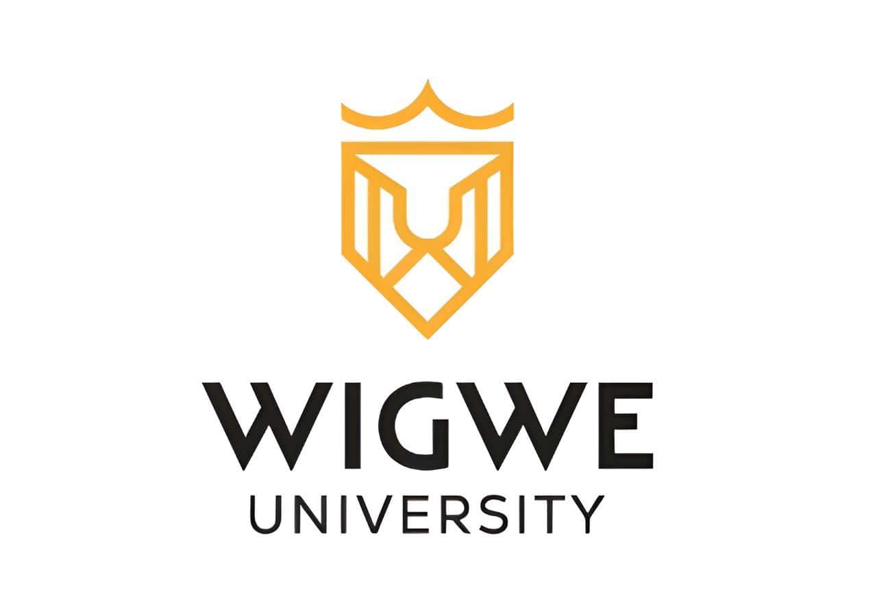 Wigwe University Debunks Issuing Admission Offers