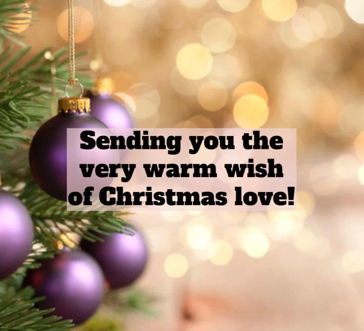Merry Christmas Messages / SMS For Loved Ones