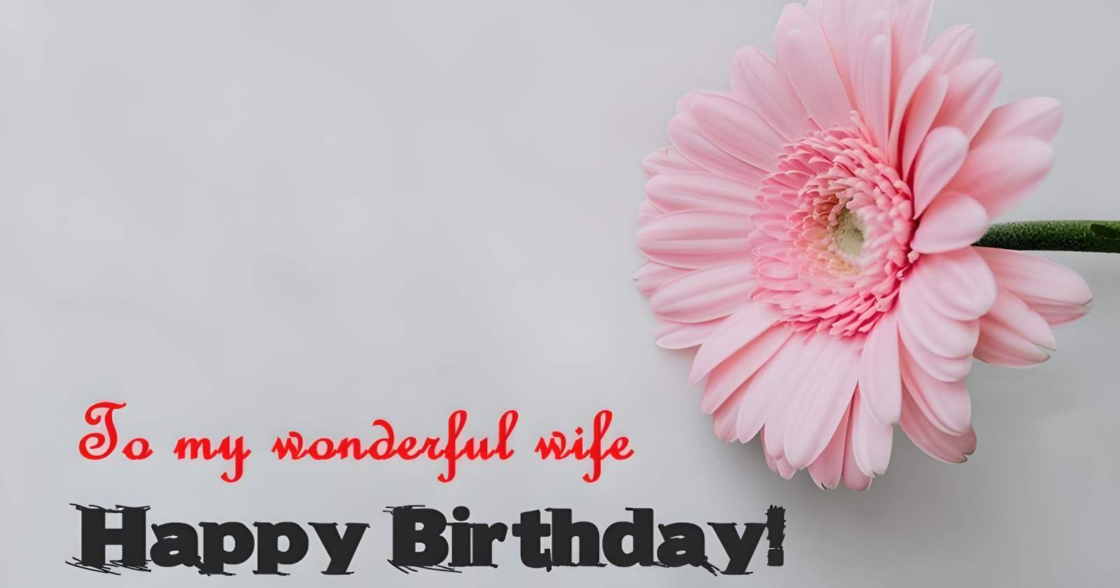 Happy Birthday Messages and Wishes for Wives