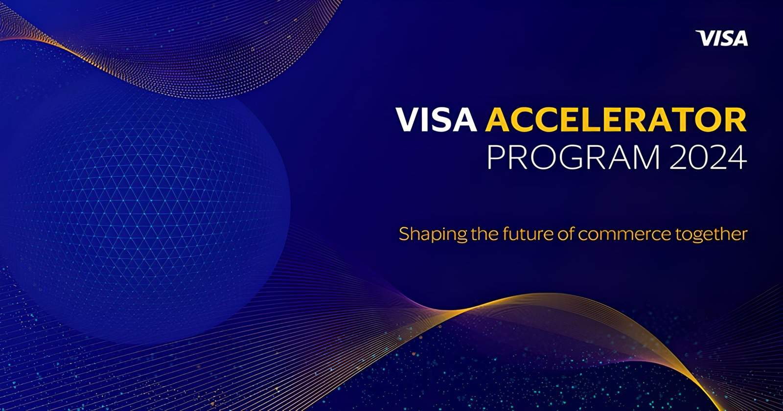 Visa Accelerator Program