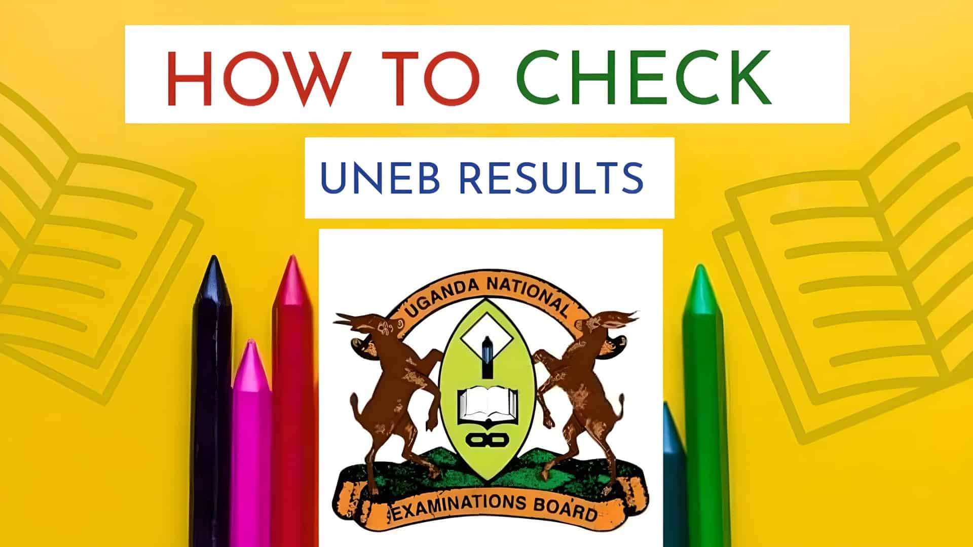 Check Your UNEB Primary Leaving Examination (PLE) Results