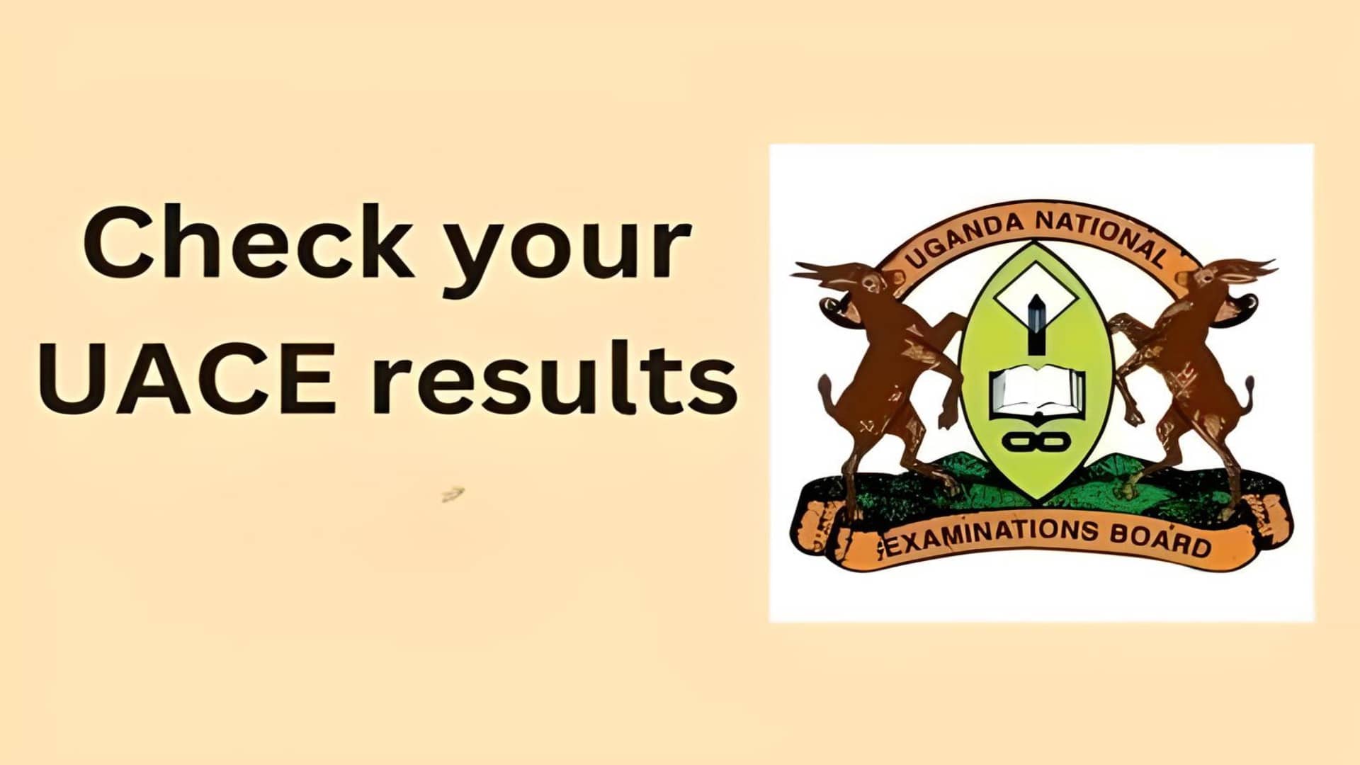 How to Check Uganda Advanced Certificate of Education (UACE) Result