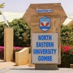 North-Eastern University (NEU) Post-UTME/DE Form 2024/2025