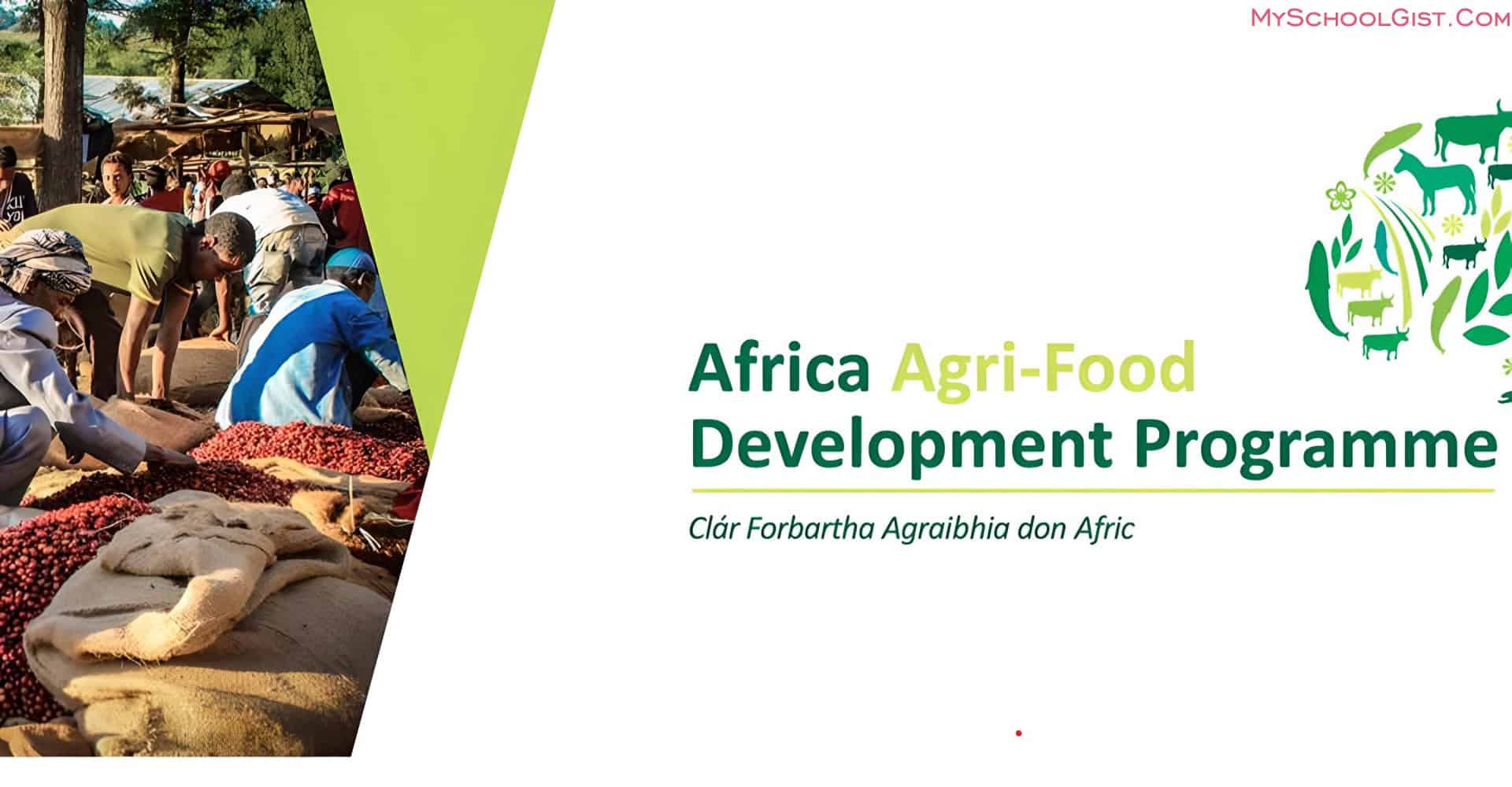 Africa Agri-Food: Co-Create the Future